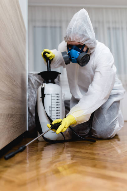 Best Residential Pest Control  in Crowley Lake, CA